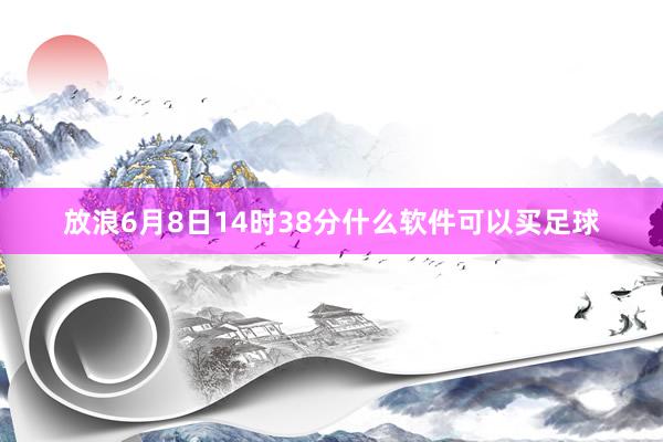 放浪6月8日14时38分什么软件可以买足球