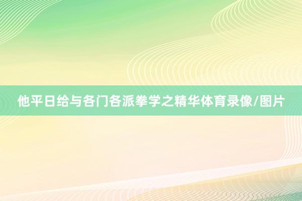 他平日给与各门各派拳学之精华体育录像/图片